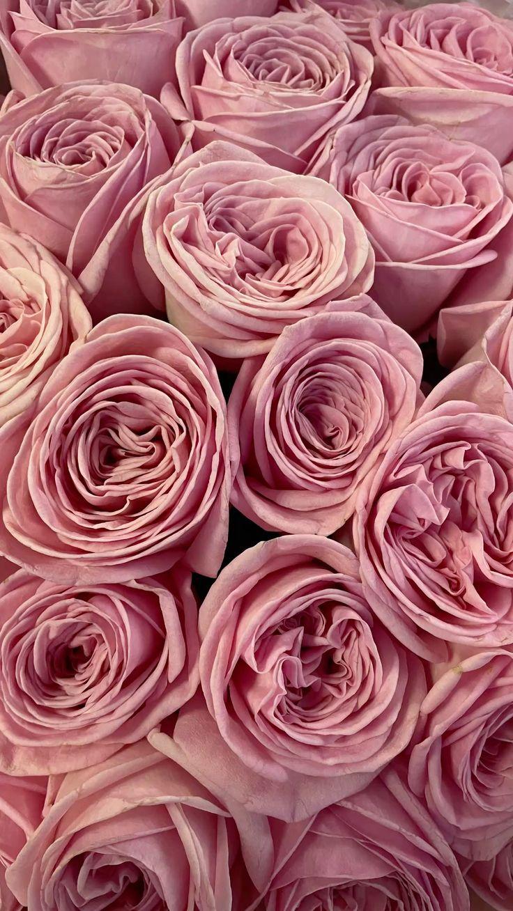 RivenMeadowCove workshop space where corporate flower arrangements are designed and prepared for business delivery